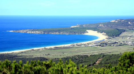 Bolonia y la Barrosa entre las 10 mejores playas de España y de Europa