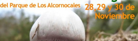 XVII Jornadas Micologicas del Parque Natural Los Alcornocales