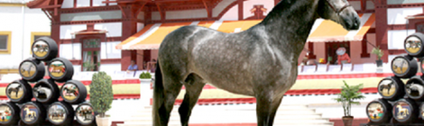 Pruebas hípicas de la Feria del Caballo de Jerez 2015: Fechas, Precios y Entradas