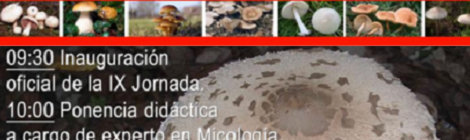 IX Jornada Micológica San Roque 2015