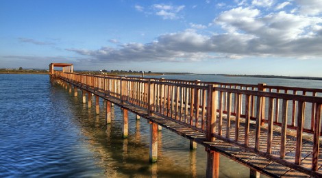 8 rutas en bici para conocer El Puerto