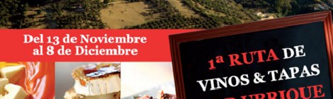 I Ruta de vinos y tapas por Ubrique 2015