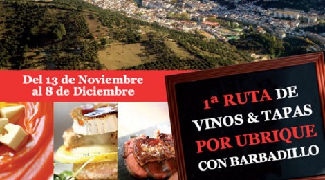 I Ruta de vinos y tapas por Ubrique 2015