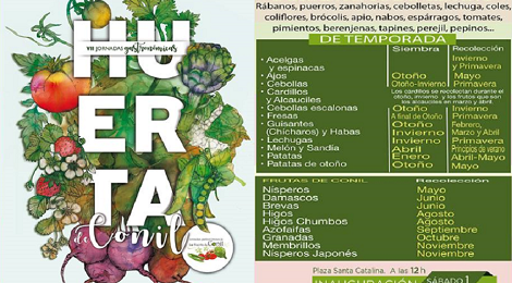 VII Jornadas Gastronómicas de la Huerta de Conil 2017: Bares y Tapas participantes